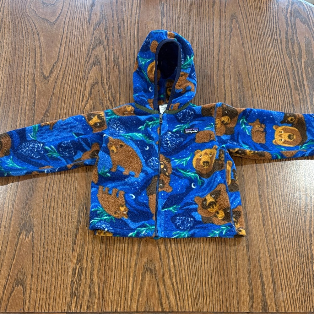 Patagonia Blue and Brown Fleece Jacket
